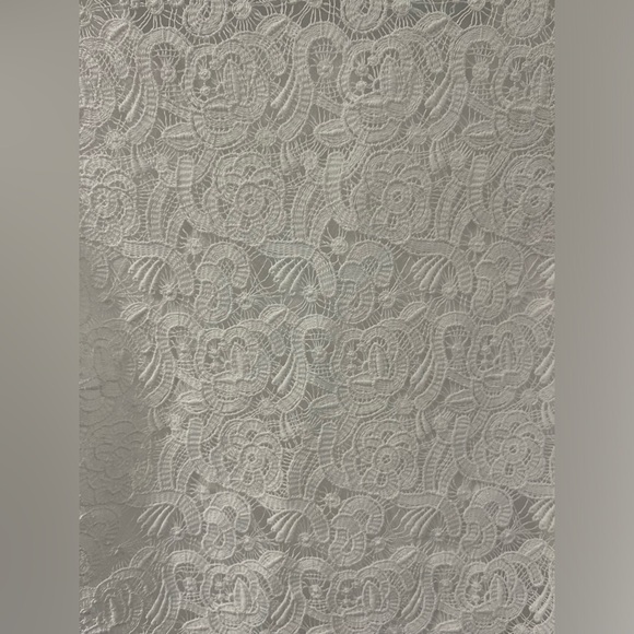 Zara W&B Collection White Top with Lace in the back - Picture 6 of 6